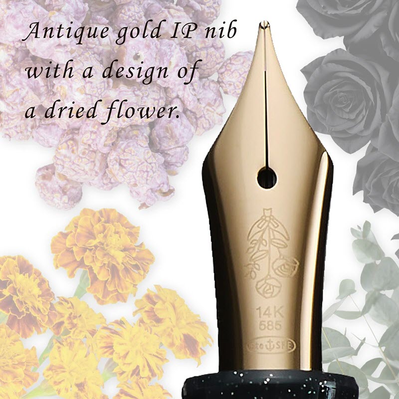 Bút Máy Sailor Professional Gear Slim Dried Flower #2 Black Rose 11-8630-420 - Ảnh 4