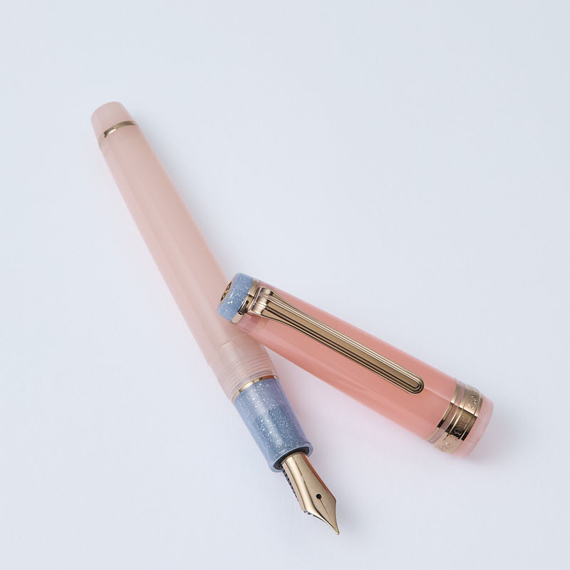 Bút Máy Sailor Professional Gear Slim Dried Flower #2 Globe Amaranth 11-8630-331 - Ảnh 3