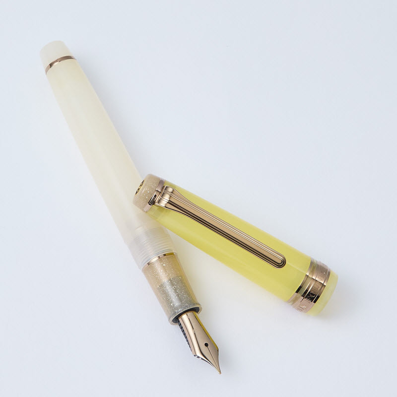 Bút Máy Sailor Professional Gear Slim Dried Flower #2 Marigold 11-8630-270 - Ảnh 3