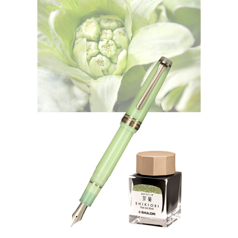 Set Bút Máy Sailor Professional Gear Slim Solar Term Fuki Kèm Mực Wakauguisu 20ml - Ảnh 3